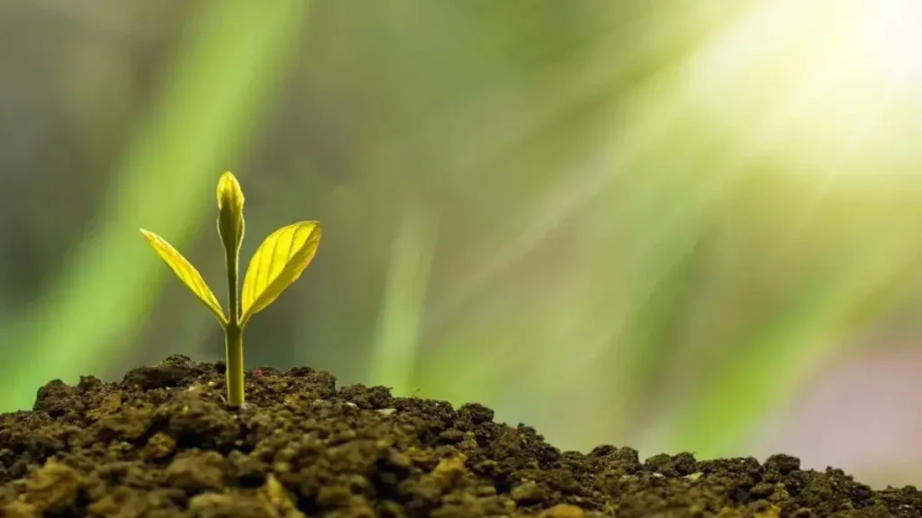 Investir em um futuro melhor